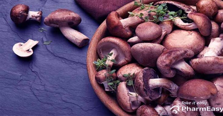 Reasons to Eat More Mushrooms