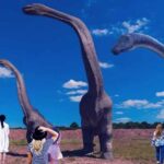 BIGGEST ANIMALS