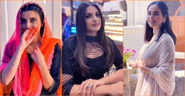 Beautiful Hottest Punjabi Female Singers