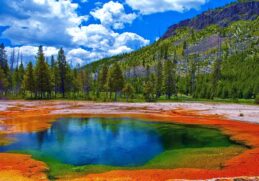 Best Things to Do in Yellowstone National Park